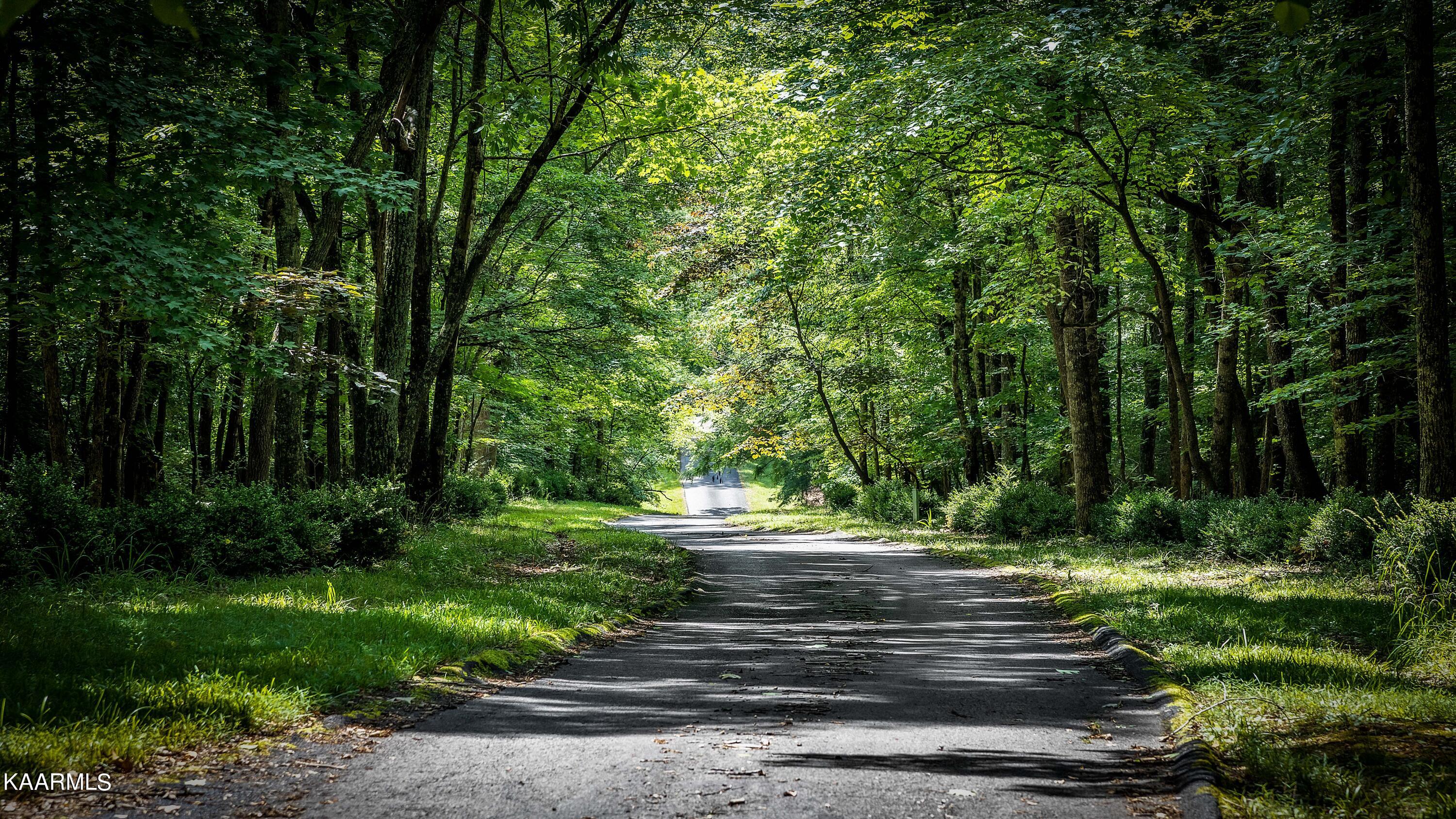 12459 Early Road Knoxville, TN 37922 - Photo 52 of 53 Picturesque setting and driveway