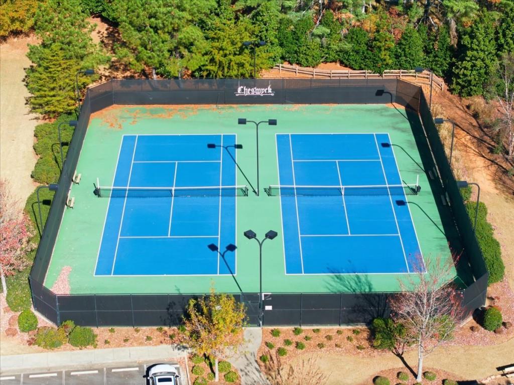 8930 Cobblestone Lane Cumming, GA 30041 - Photo 59 of 65