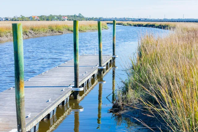 $1,350,000 | 1709 Vireo Court, Johns Island, SC 29455