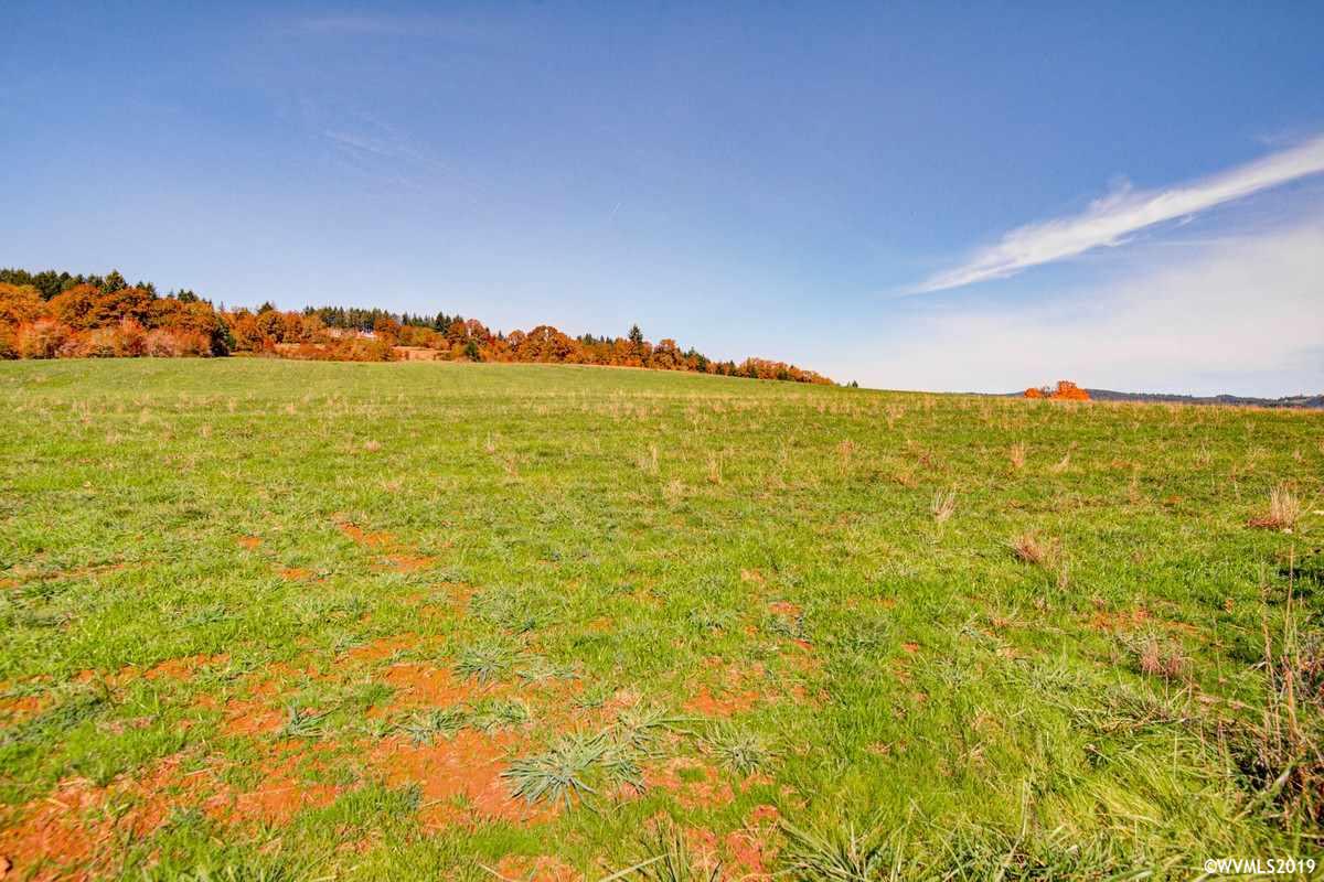 Southwest Pittman (lot 200) Road Sheridan, OR 97378 - Photo 4 of 13