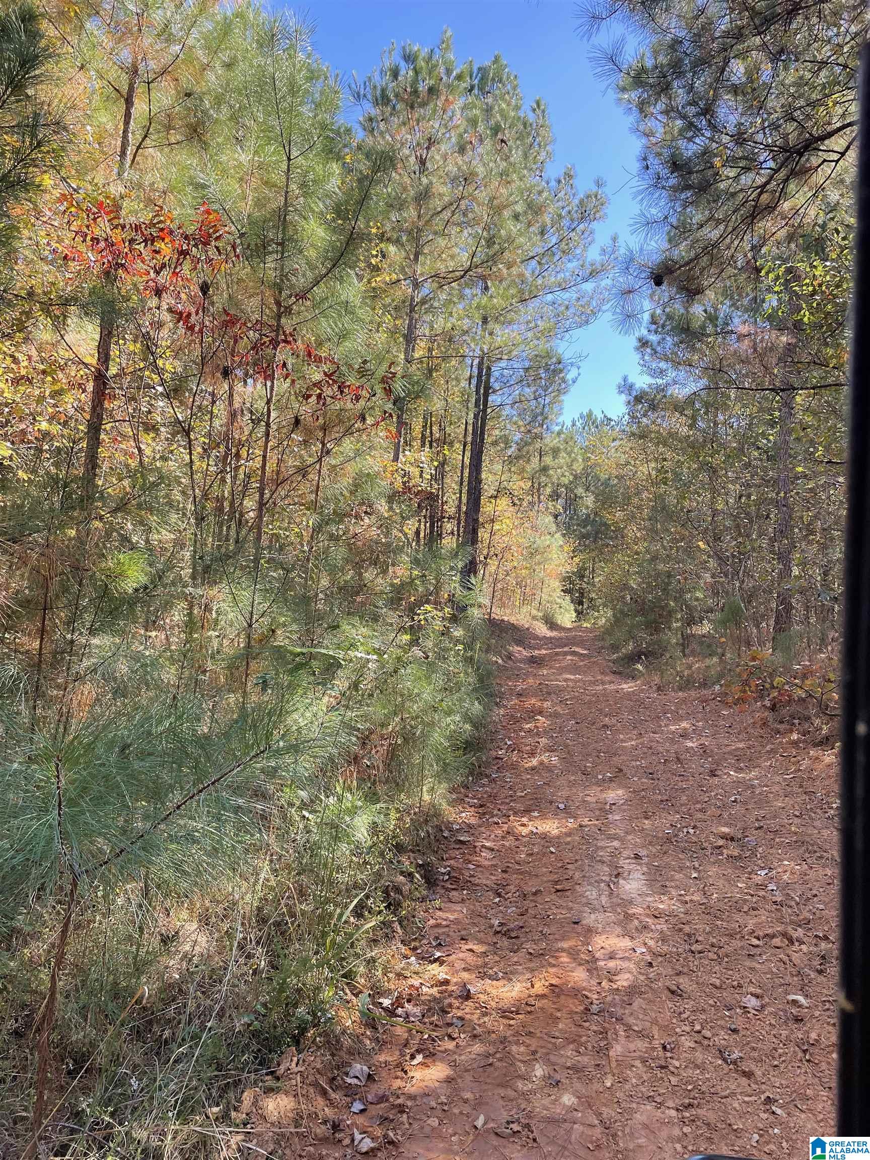 8760 Marsh Mountain Road, Unit 223 Pinson, AL 35126 - Photo 37 of 51
