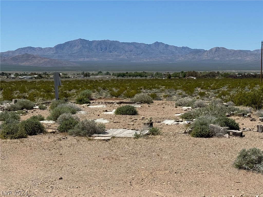 1805 Quartz Avenue Sandy Valley, NV 89019 - Photo 3 of 7
