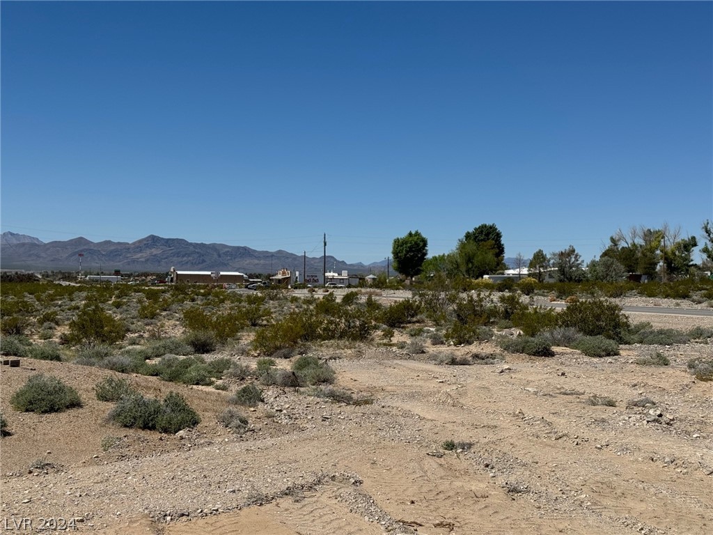 1805 Quartz Avenue Sandy Valley, NV 89019 - Photo 5 of 7