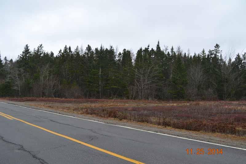 1344-020 Cutler Road Whiting, ME 04691 - Photo 6 of 6 Birch Hill Photos 006