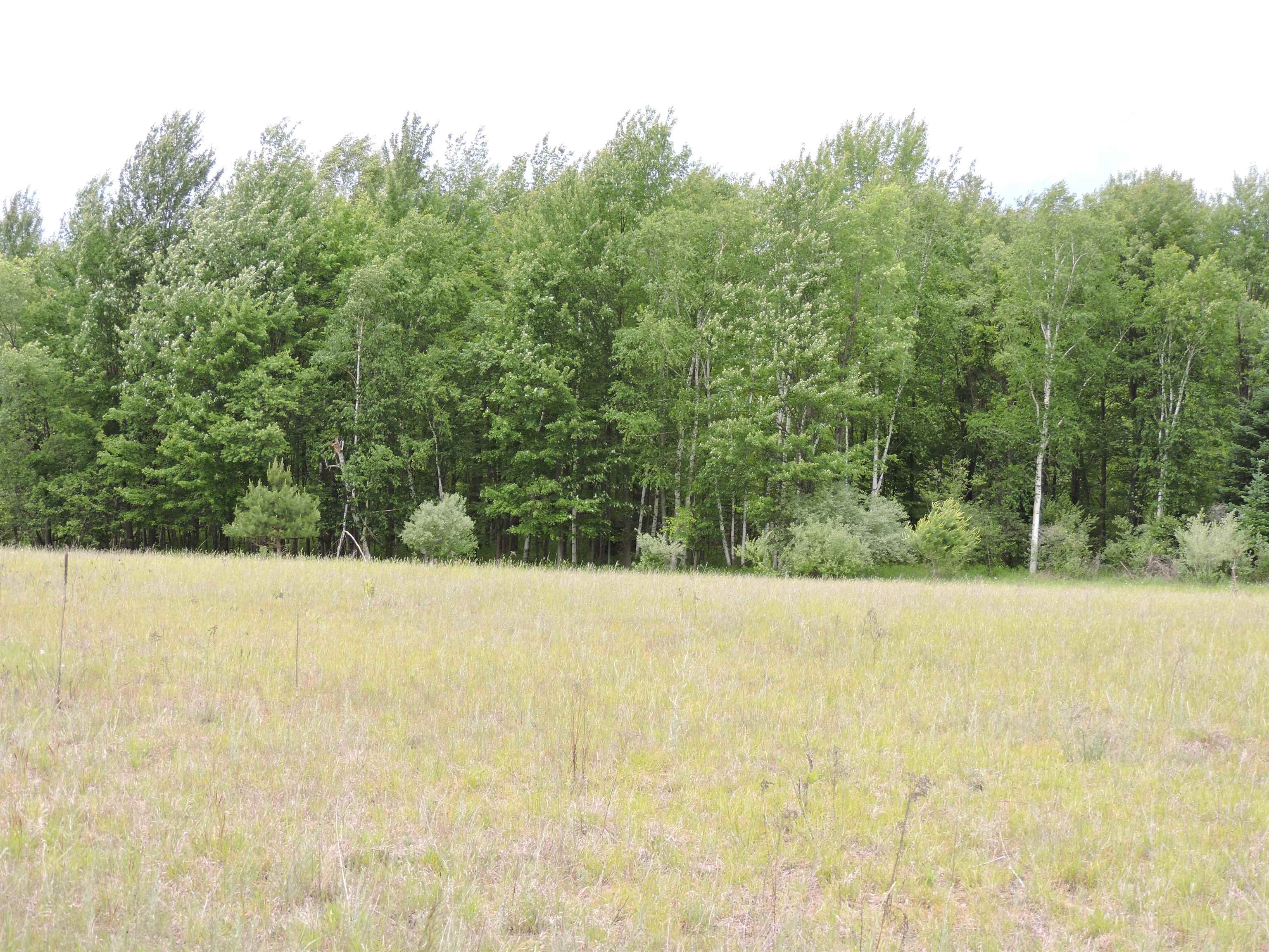 6686 Keystone Road Turner, MI 48765 - Photo 19 of 30