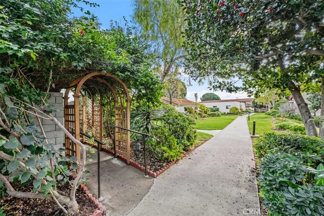 a view of a garden with plants