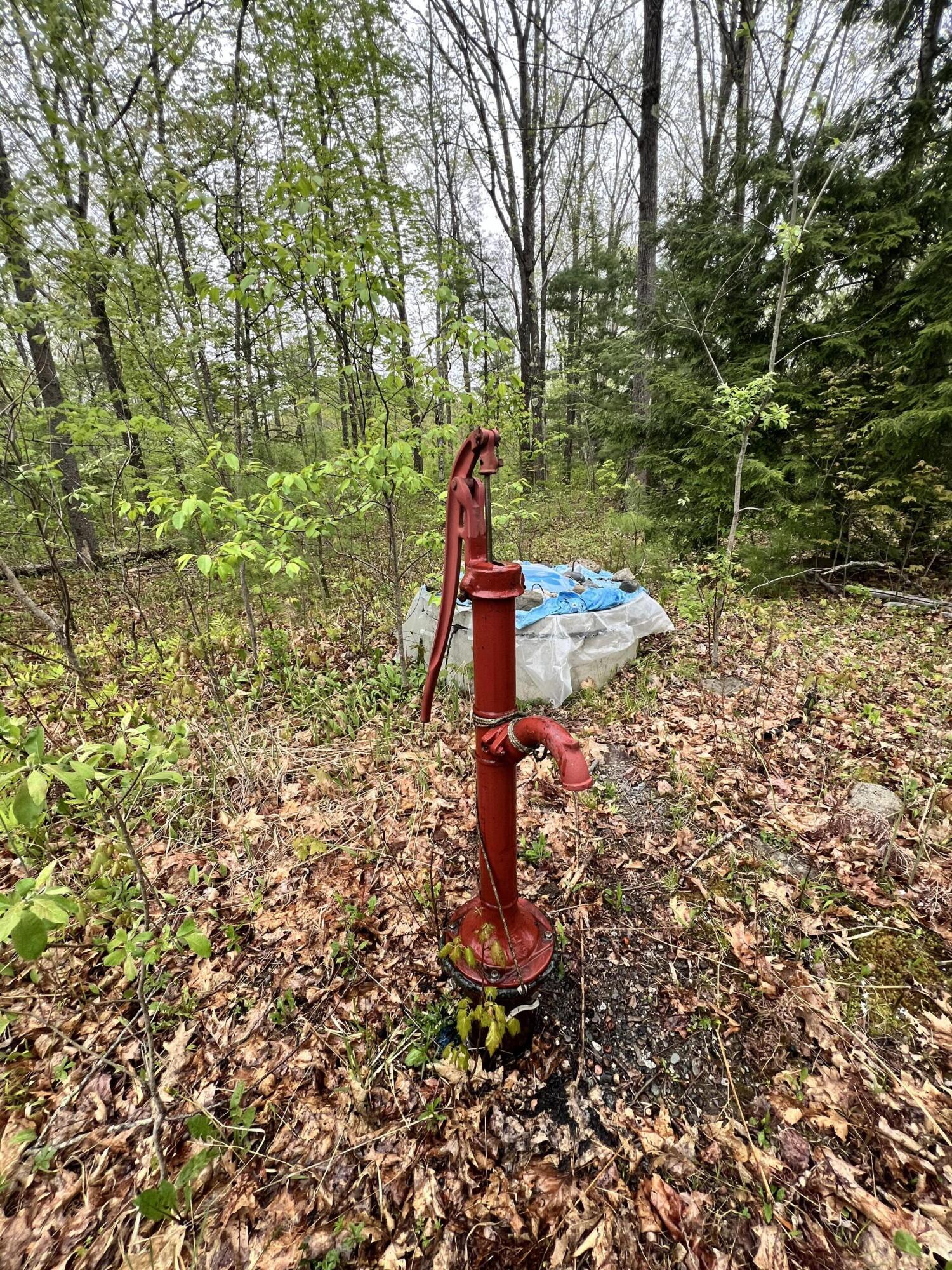 1660 Main Road Greenbush, ME 04418 - Photo 7 of 57 IMG_8411