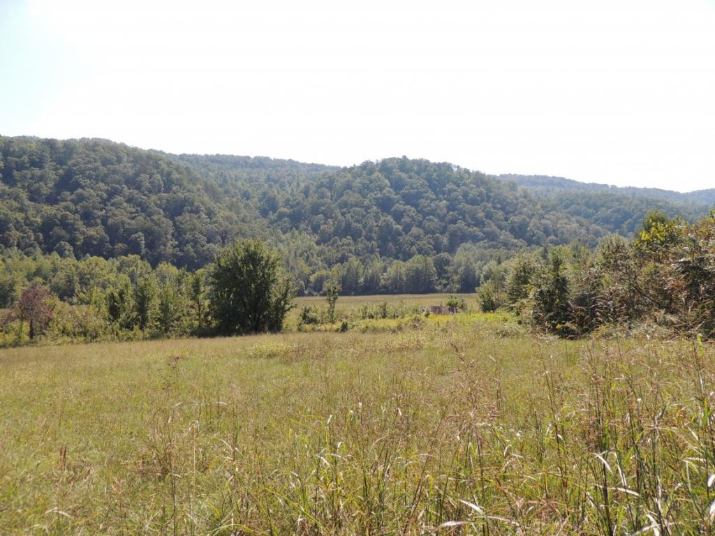 3 Spruce Pine Road Rogersville, TN 37857 - Photo 1 of 9 Photo 1