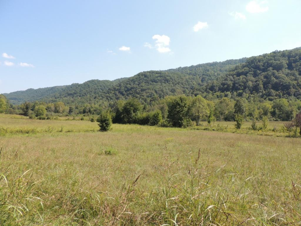 3 Spruce Pine Road Rogersville, TN 37857 - Photo 2 of 9 Photo 2