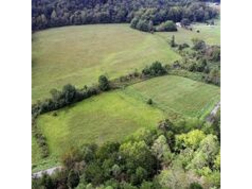 3 Spruce Pine Road Rogersville, TN 37857 - Photo 3 of 9 Photo 3