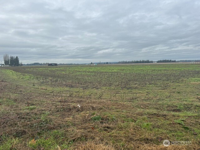 1420 Birch Bay Lynden Road Ferndale, WA 98248 - Photo 2 of 5 a view of an ocean
