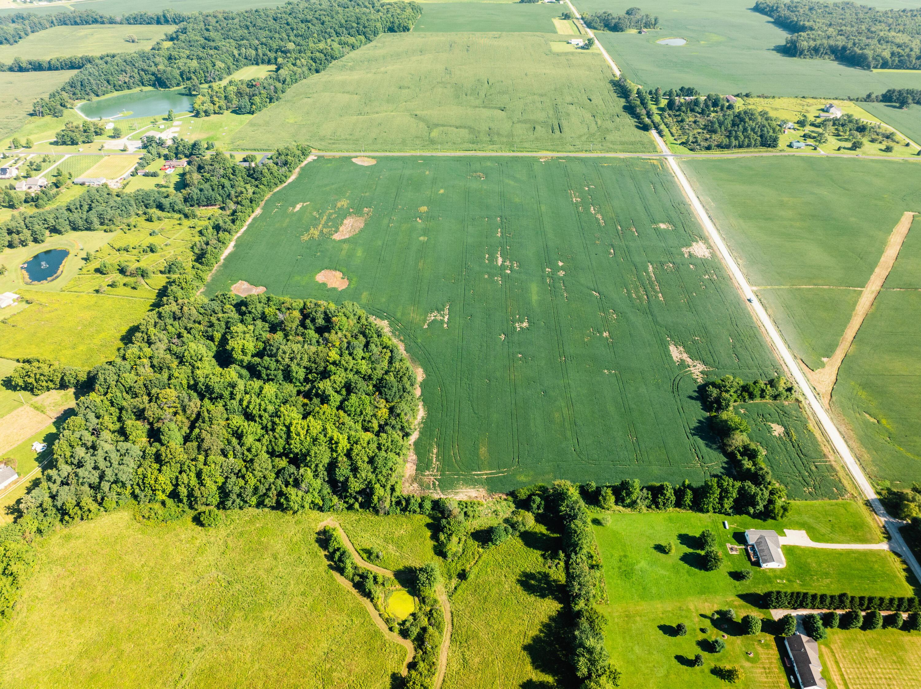 0 Sycamore Road Centerburg, OH 43011 - Photo 18 of 69 DJI_20260827152316_0795_D