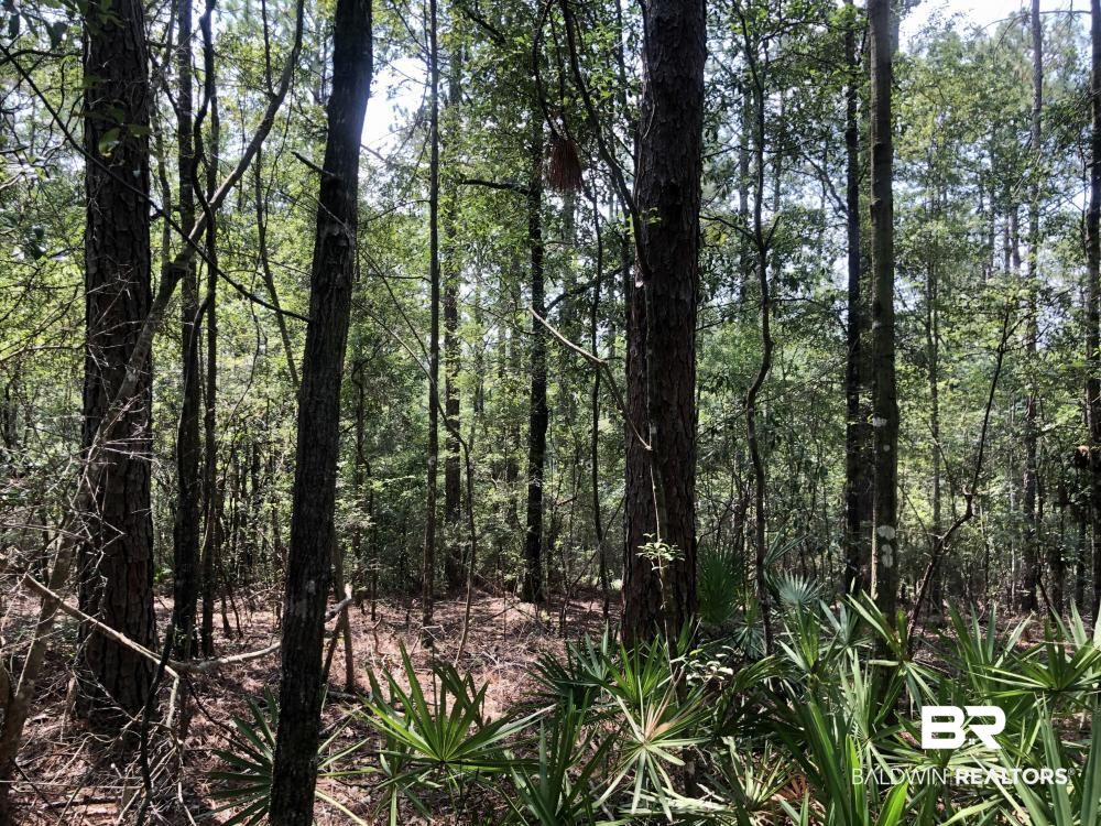 18560 Mason Street Citronelle, AL 36522 - Photo 21 of 45
