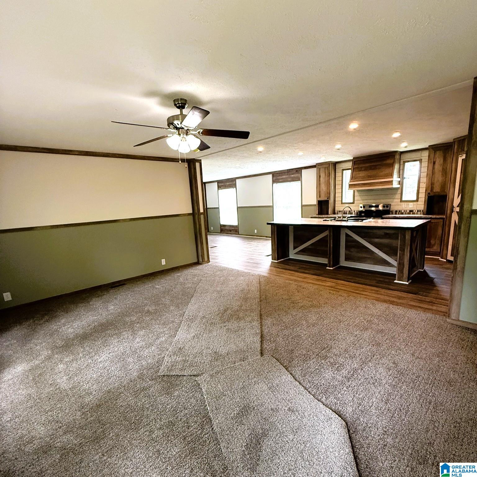 945 Church Road Fyffe, AL 35971 - Photo 2 of 16