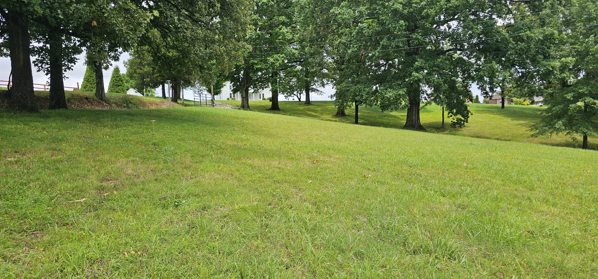 315 7 Mile Ferry Road Cunningham, TN 37052 - Photo 29 of 29