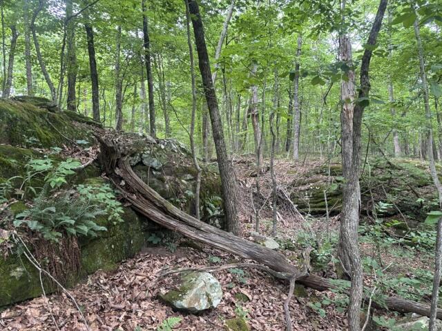 0 Greenfields Way North, Unit 12 Dunlap, TN 37327 - Photo 3 of 10 IMG_0203