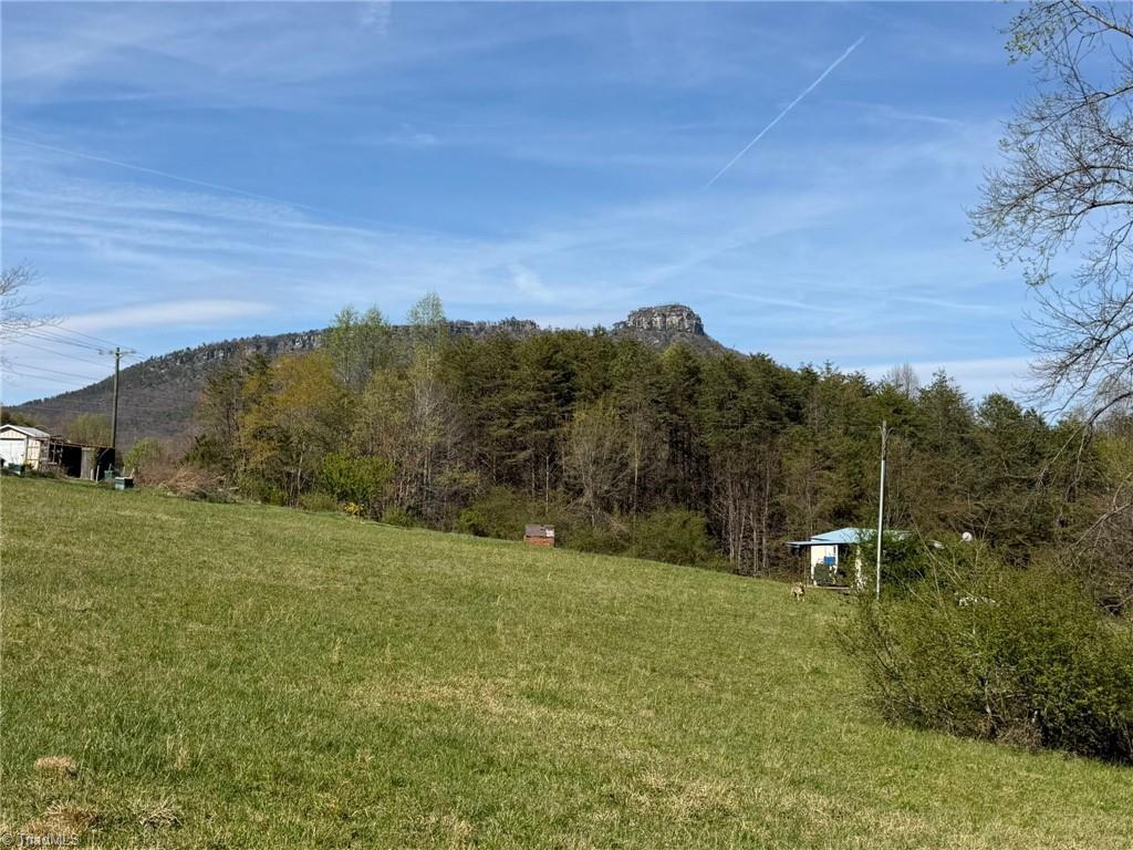3.04 Ayers Road Pinnacle, NC 27043 - Photo 1 of 35