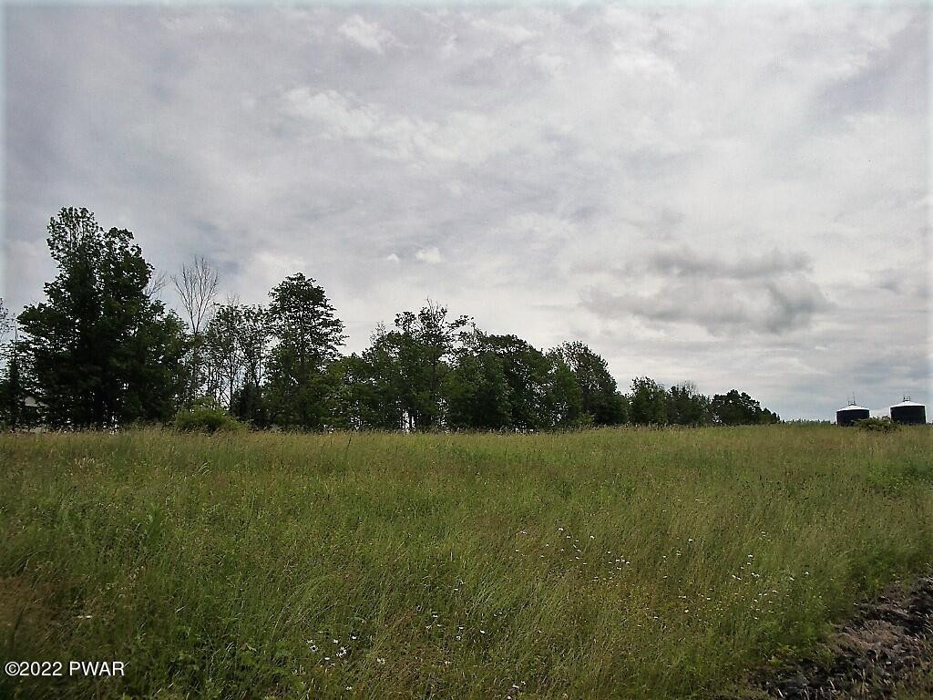 Lot 2 Avoy Heights Road Lake Ariel, PA 18436 - Photo 5 of 9