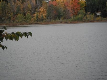 Lot 12 County Road Almond, WI 54909 - Photo 1 of 1