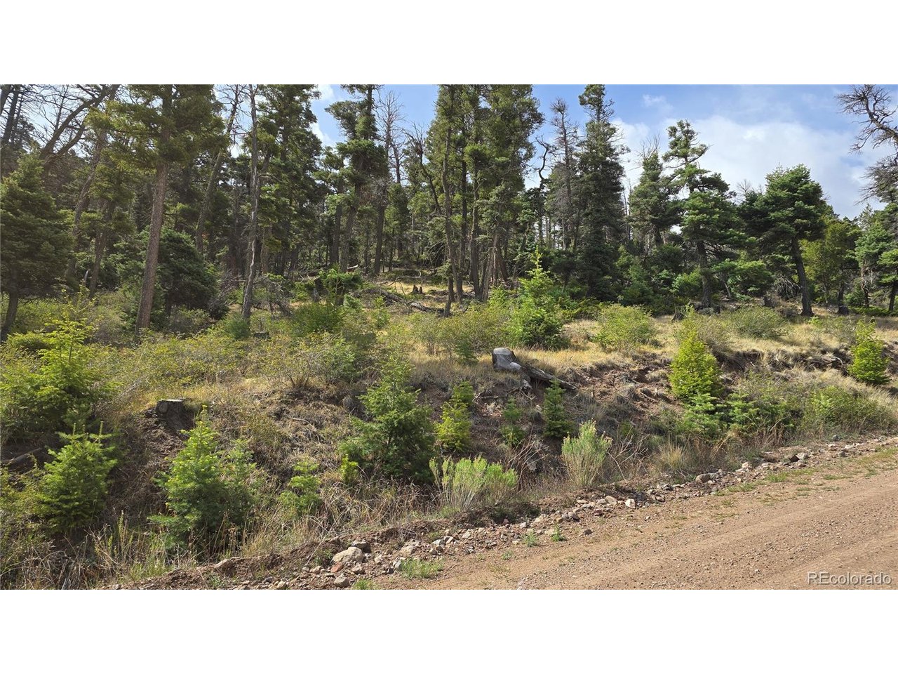 5505 Balleroy Road San Luis, CO 81152 - Photo 25 of 32
