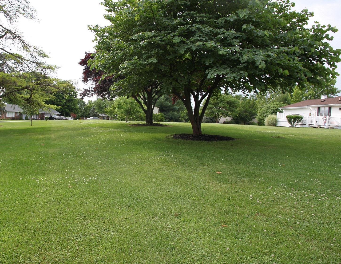 170 Licking Valley Road Cynthiana, KY 41031 - Photo 4 of 25 Photo 4