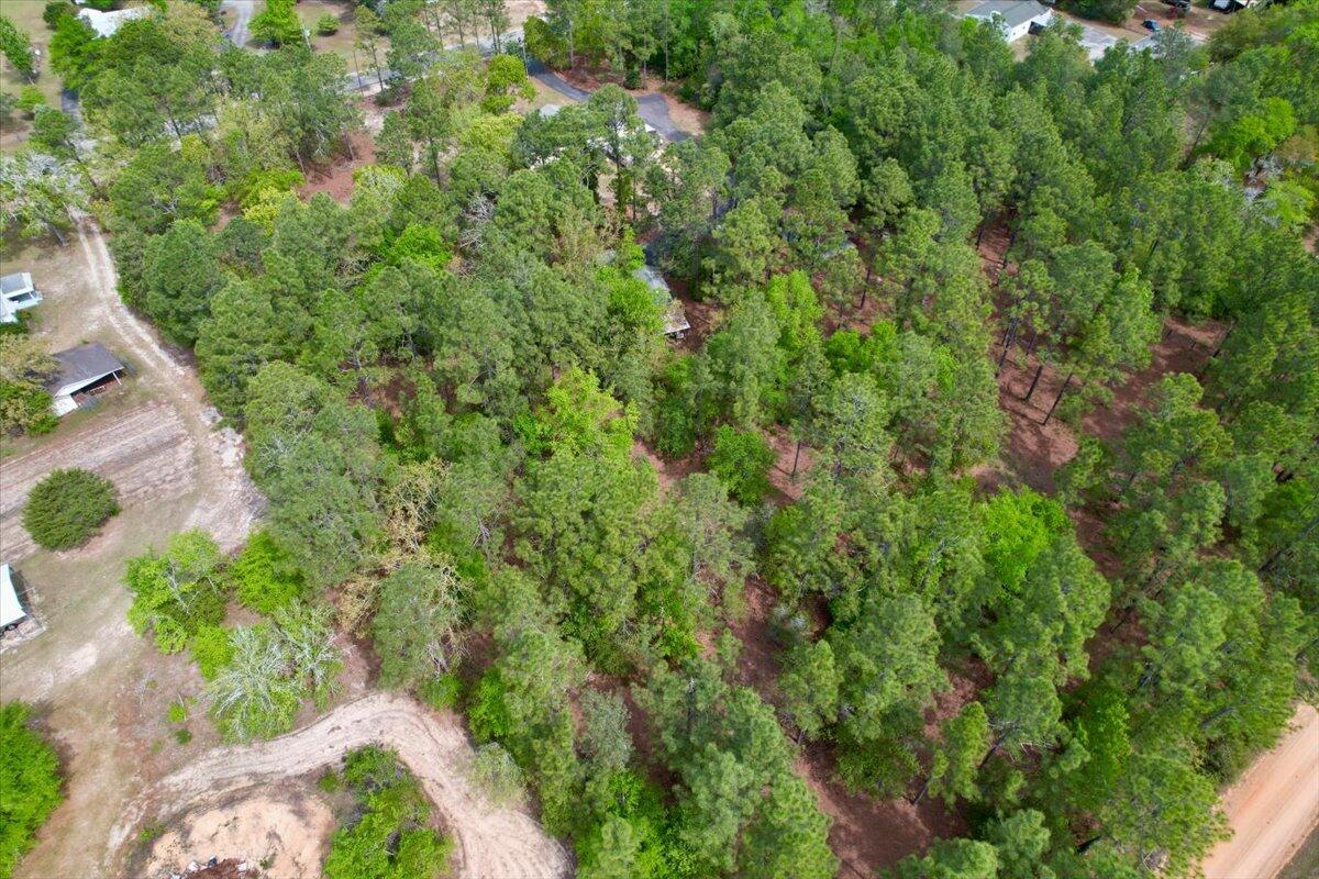 1532 Wire Road Aiken, SC 29805 - Photo 43 of 51