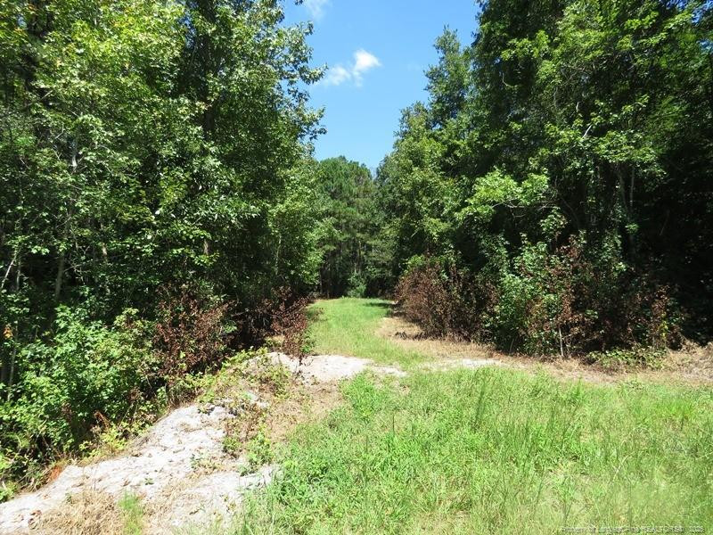 4512 Tobacco Road Orrum, NC 28369 - Photo 9 of 45