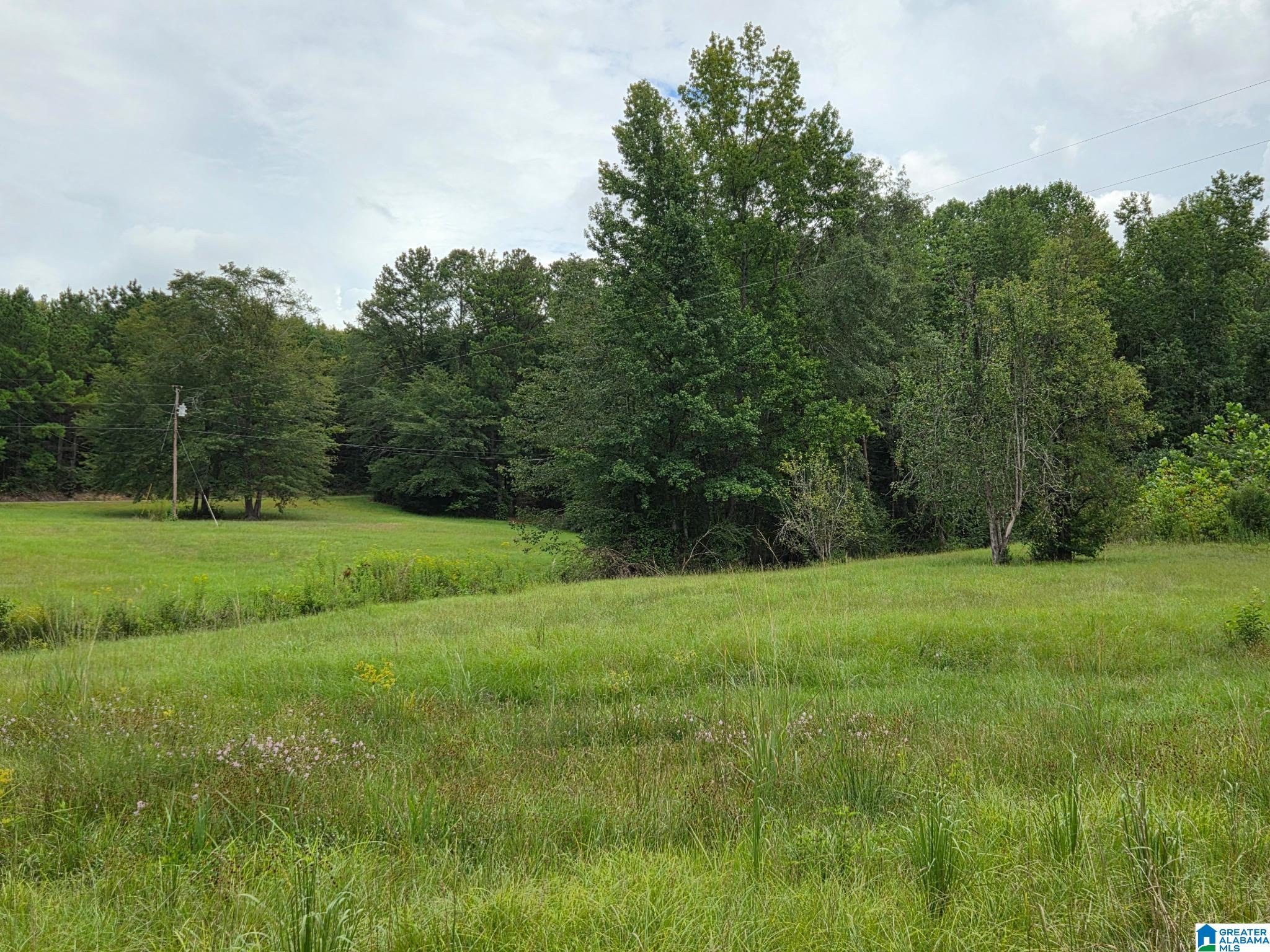 317 Rockyview Road West Blocton, AL 35184 - Photo 2 of 5