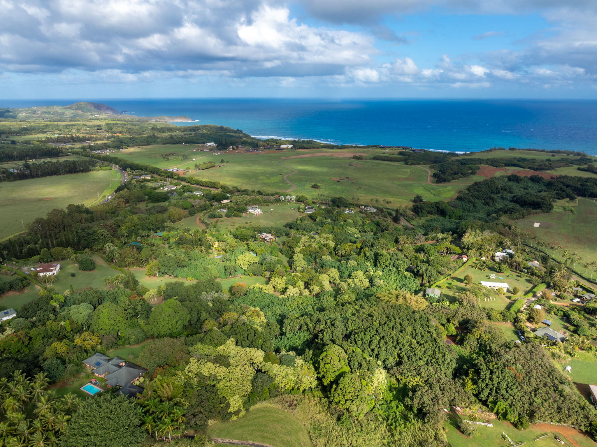 7549 A Lot 23 Koolau Road Kilauea, HI 96754 - Photo 13 of 23