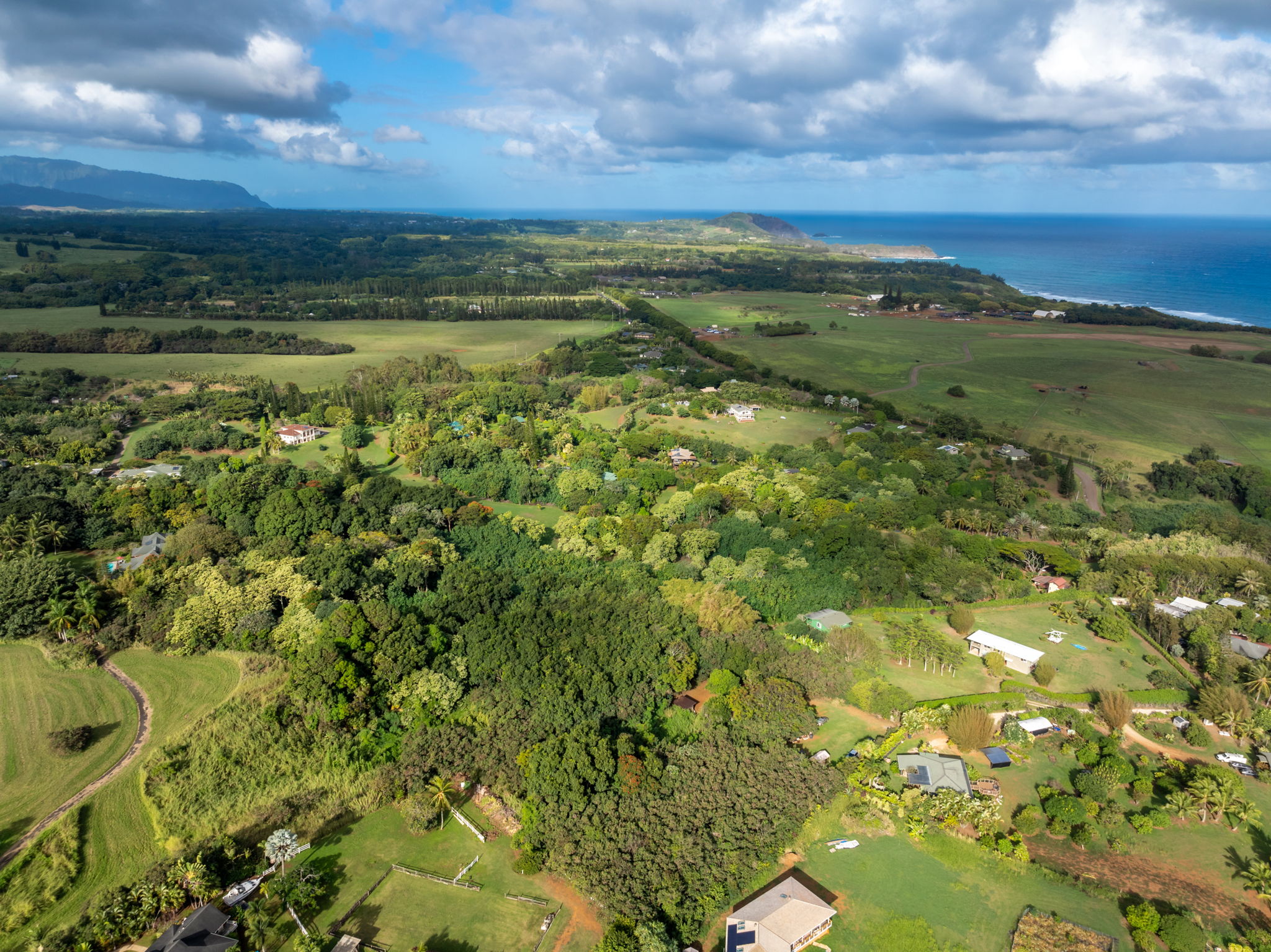 7549 A Lot 23 Koolau Road Kilauea, HI 96754 - Photo 14 of 23 a view of a city with an ocean