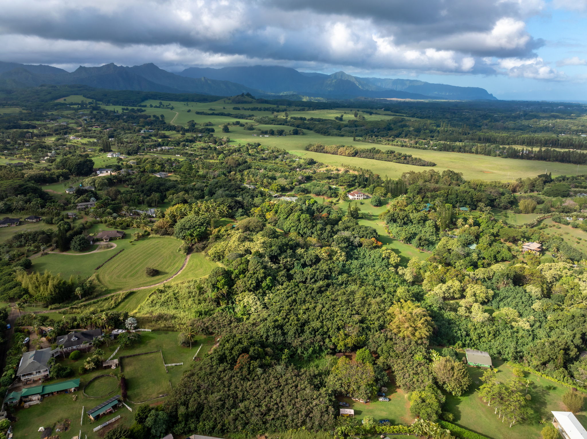 7549 A Lot 23 Koolau Road Kilauea, HI 96754 - Photo 15 of 23 a view of a green field