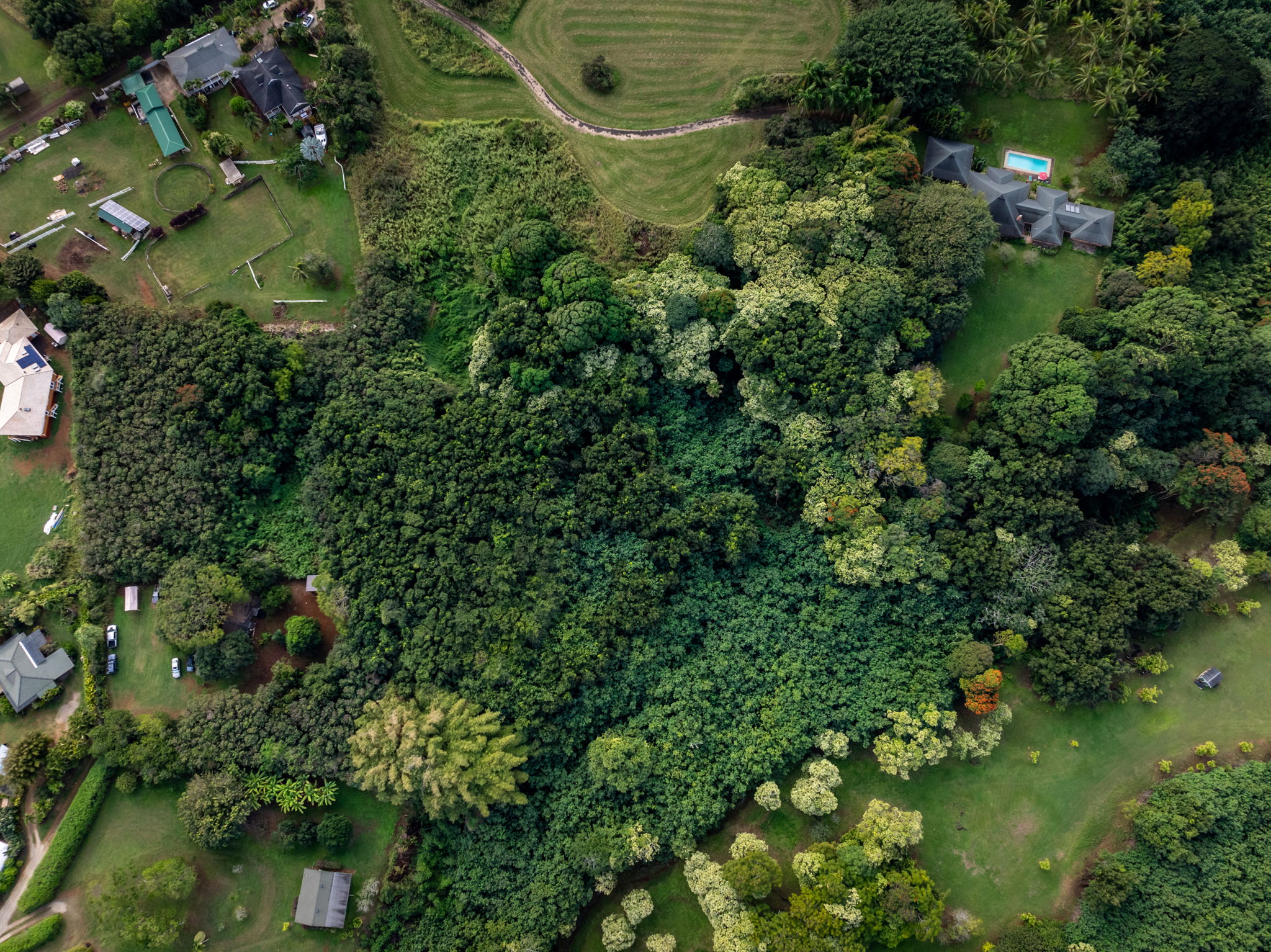 7549 A Lot 23 Koolau Road Kilauea, HI 96754 - Photo 17 of 23 an aerial view of residential house with outdoor space and trees all around