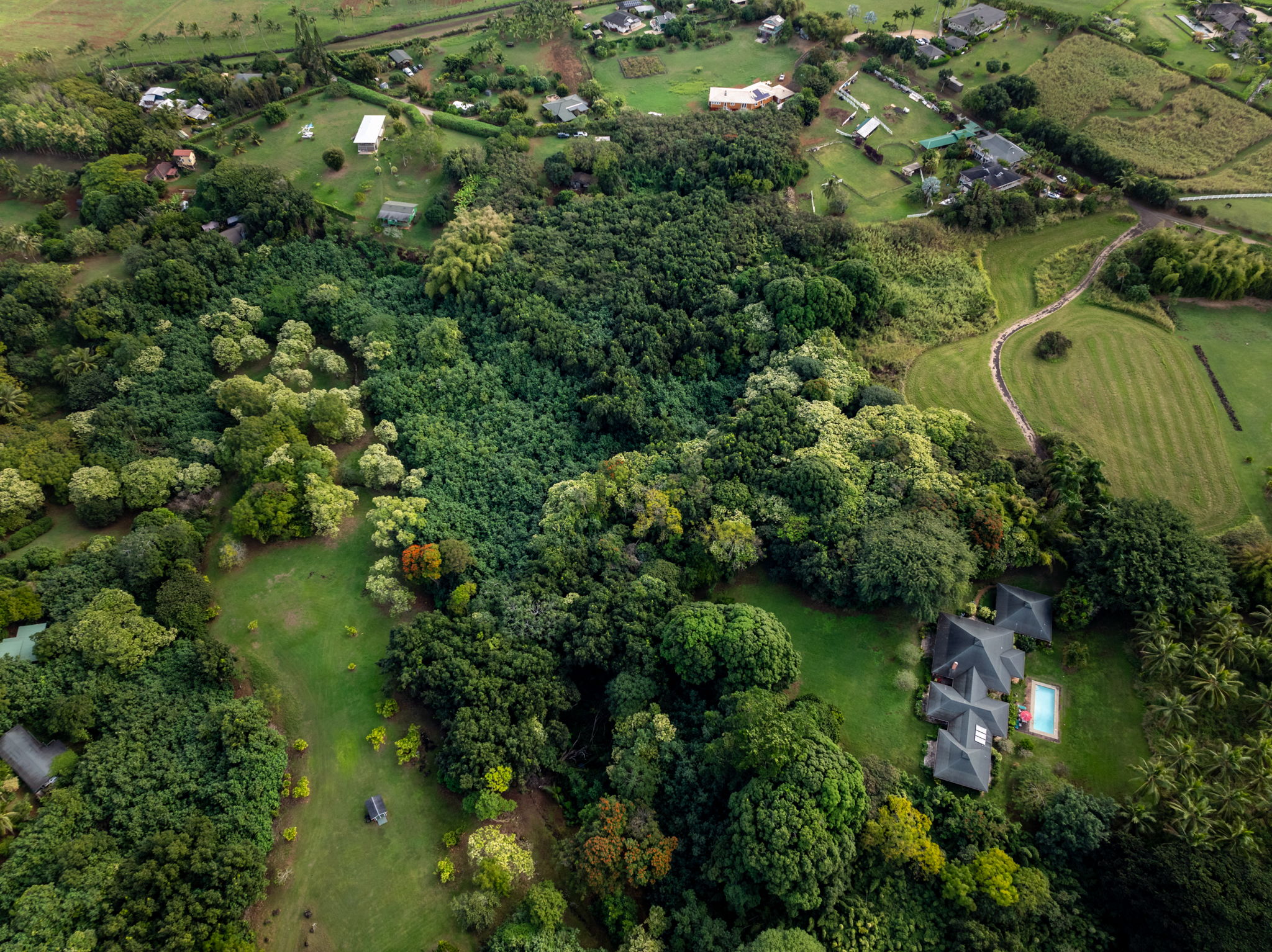 7549 A Lot 23 Koolau Road Kilauea, HI 96754 - Photo 18 of 23 an aerial view of a residential houses with outdoor space and trees