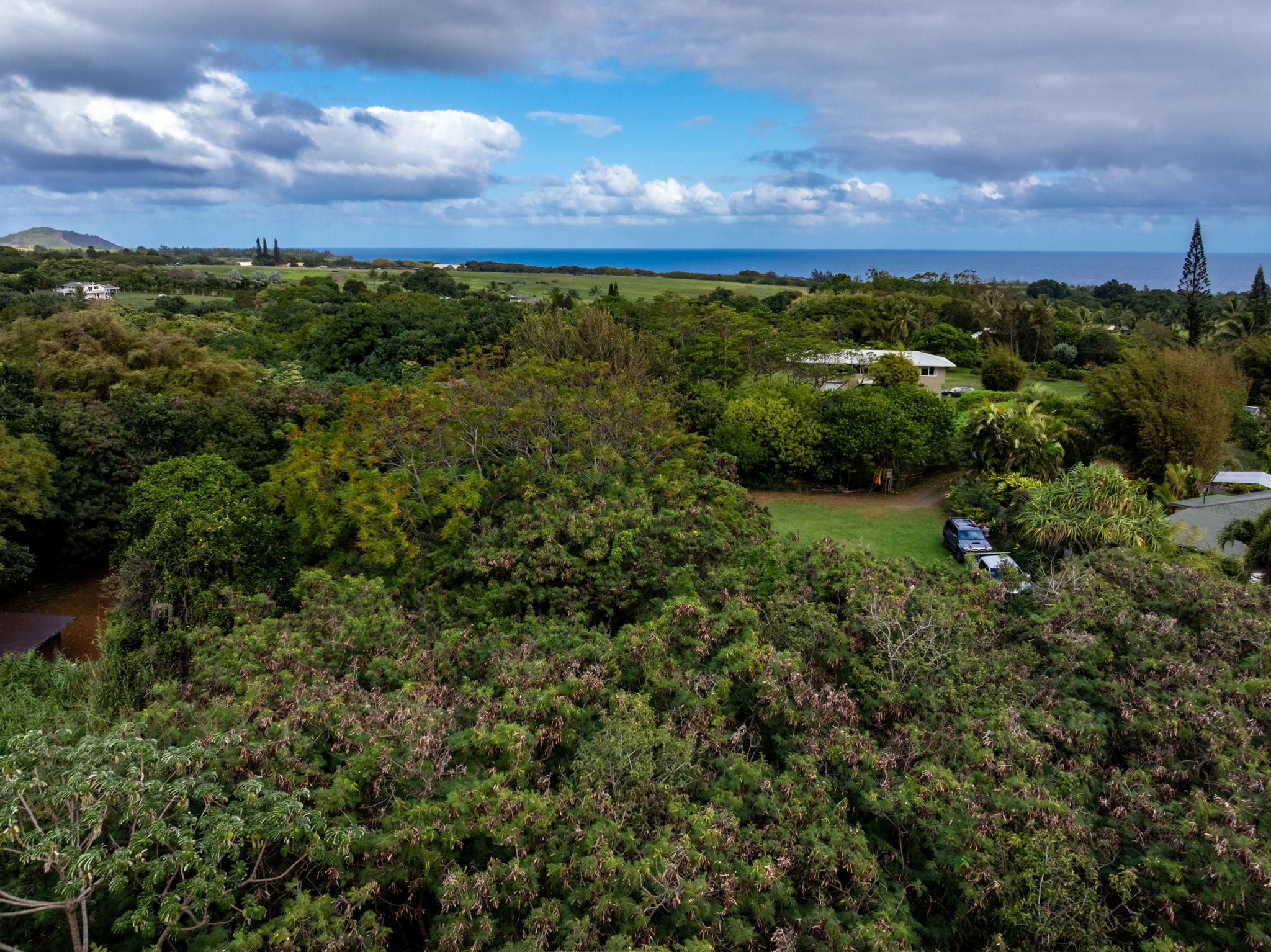 7549 A Lot 23 Koolau Road Kilauea, HI 96754 - Photo 19 of 23 a view of a city with lush green forest