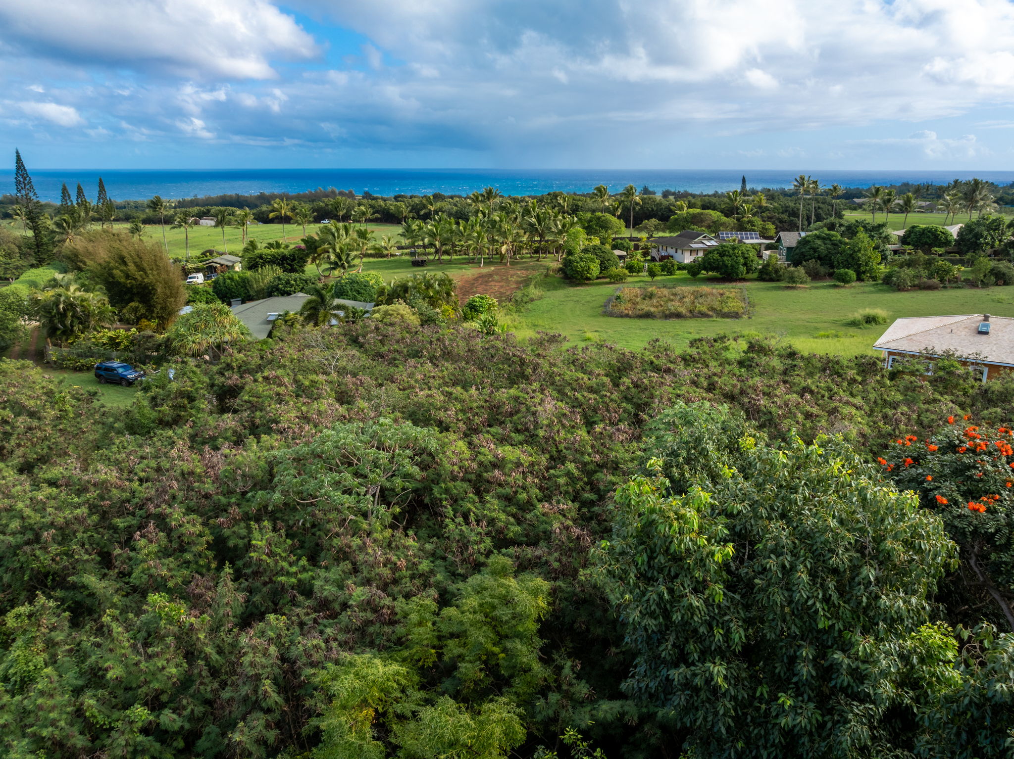 7549 A Lot 23 Koolau Road Kilauea, HI 96754 - Photo 6 of 23 a view of a large yard with lots of green space