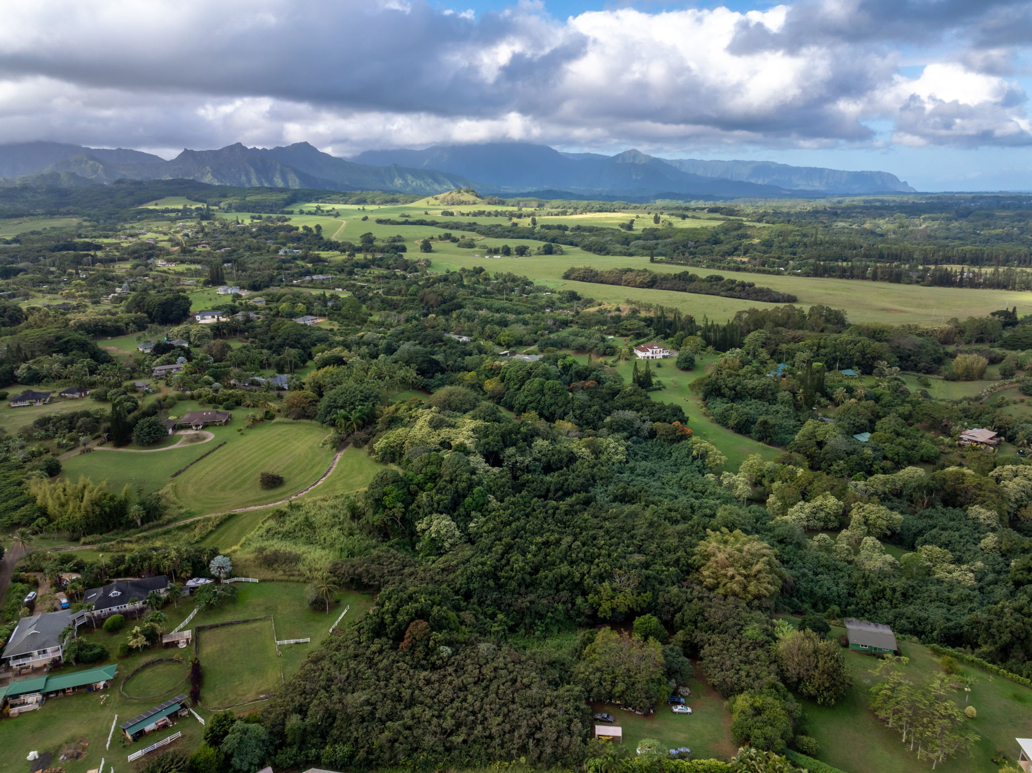 7549 A Lot 23 Koolau Road Kilauea, HI 96754 - Photo 8 of 23 a view of a lush green field with lots of plants in it