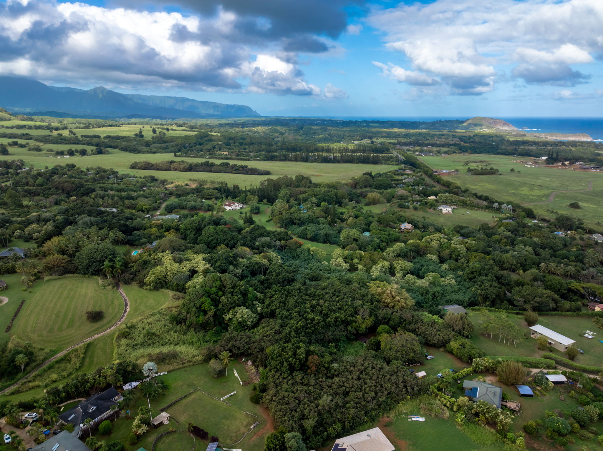 7549 A Lot 23 Koolau Road Kilauea, HI 96754 - Photo 9 of 23 a view of a city with lush green forest