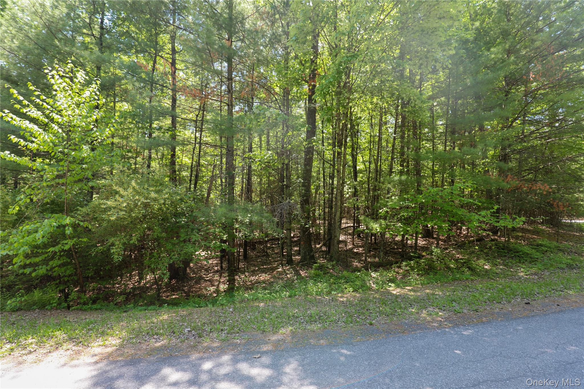 Tbd Bristol Hill Road Hurley, NY 12443 - Photo 7 of 17 a view of outdoor space and trees