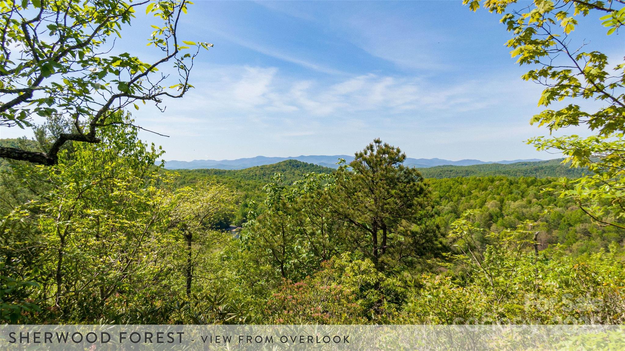 777 Cardinal Road Brevard, NC 28712 - Photo 15 of 21 Gallery Image 15