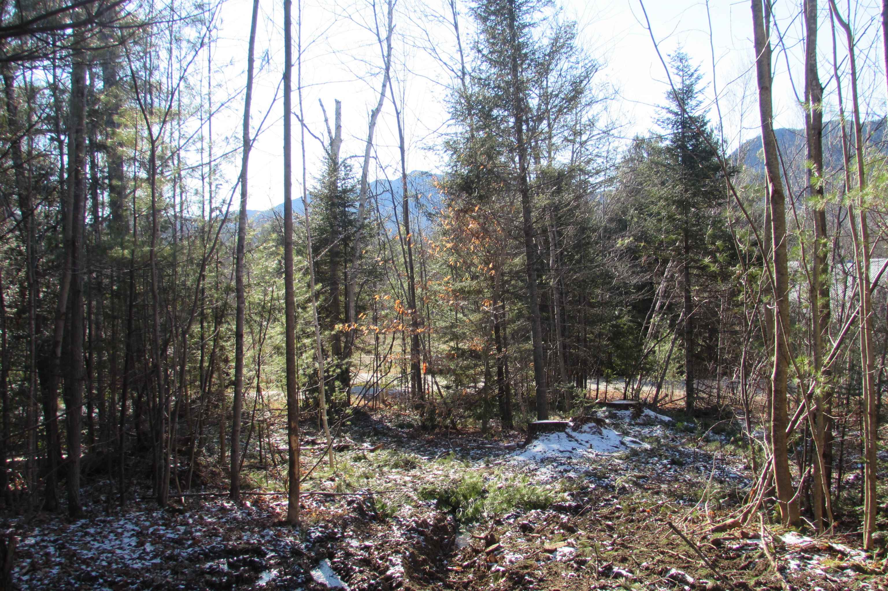 A6 Stanton Farm Road Glen, NH 03838 - Photo 1 of 4