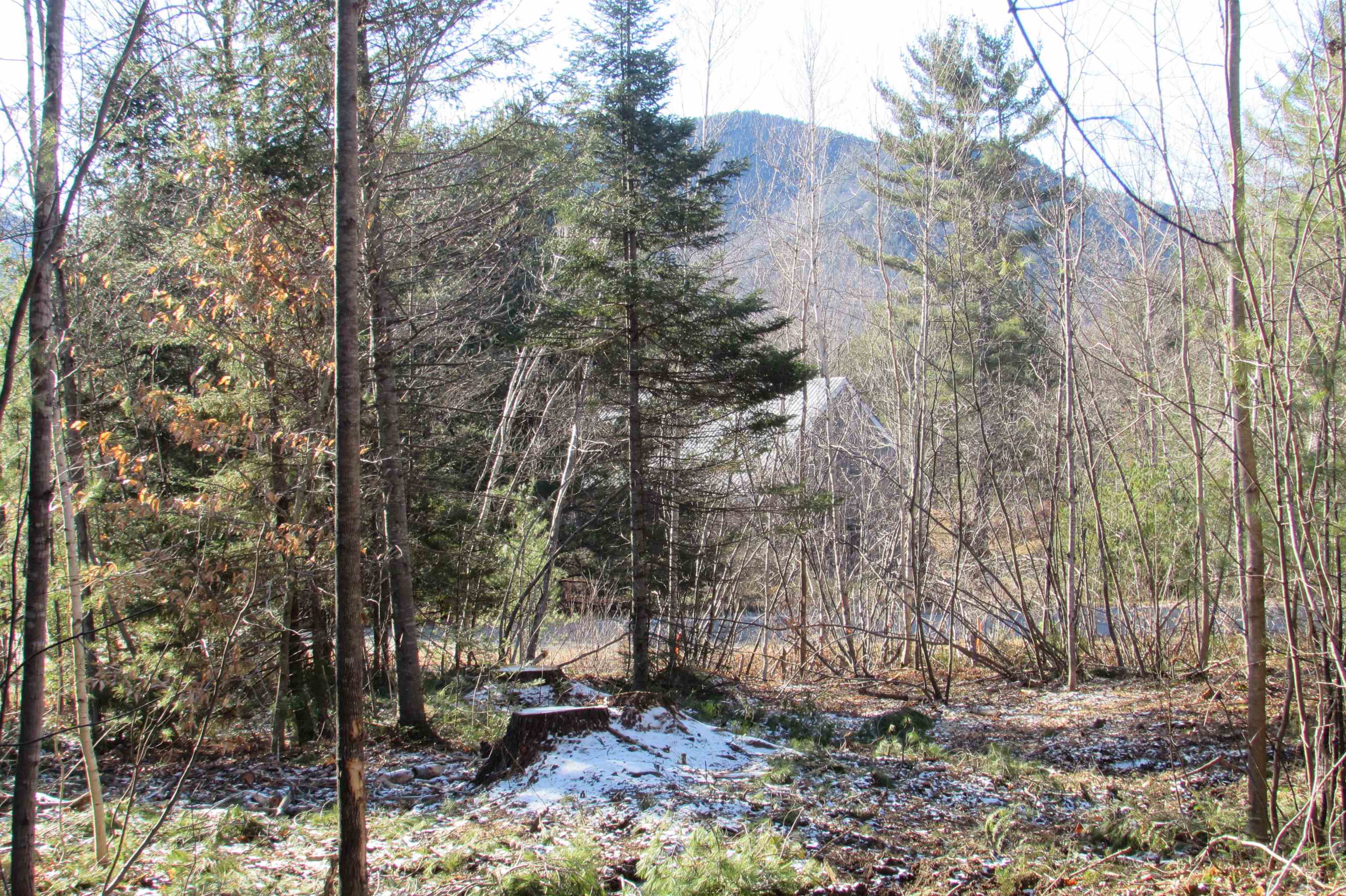 A6 Stanton Farm Road Glen, NH 03838 - Photo 2 of 4