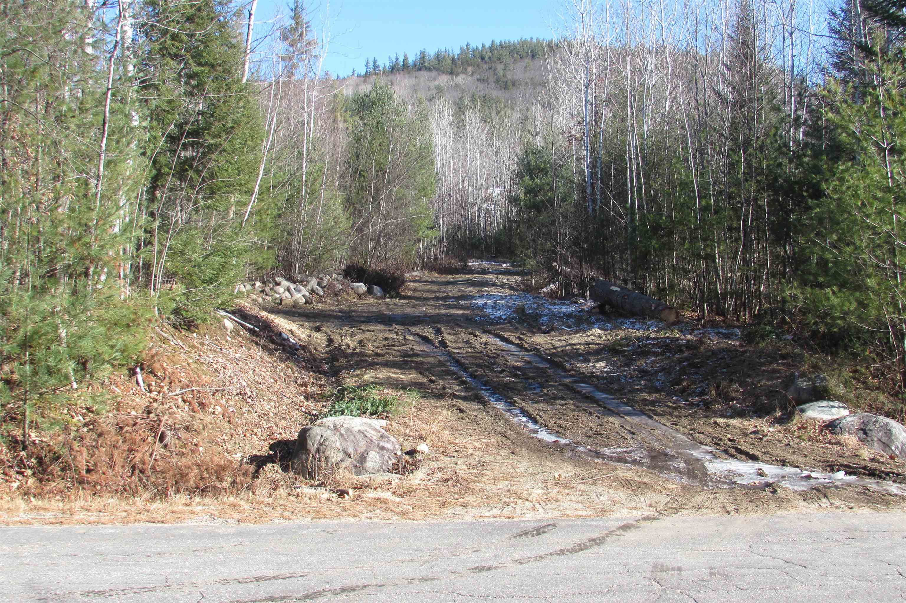 A6 Stanton Farm Road Glen, NH 03838 - Photo 3 of 4