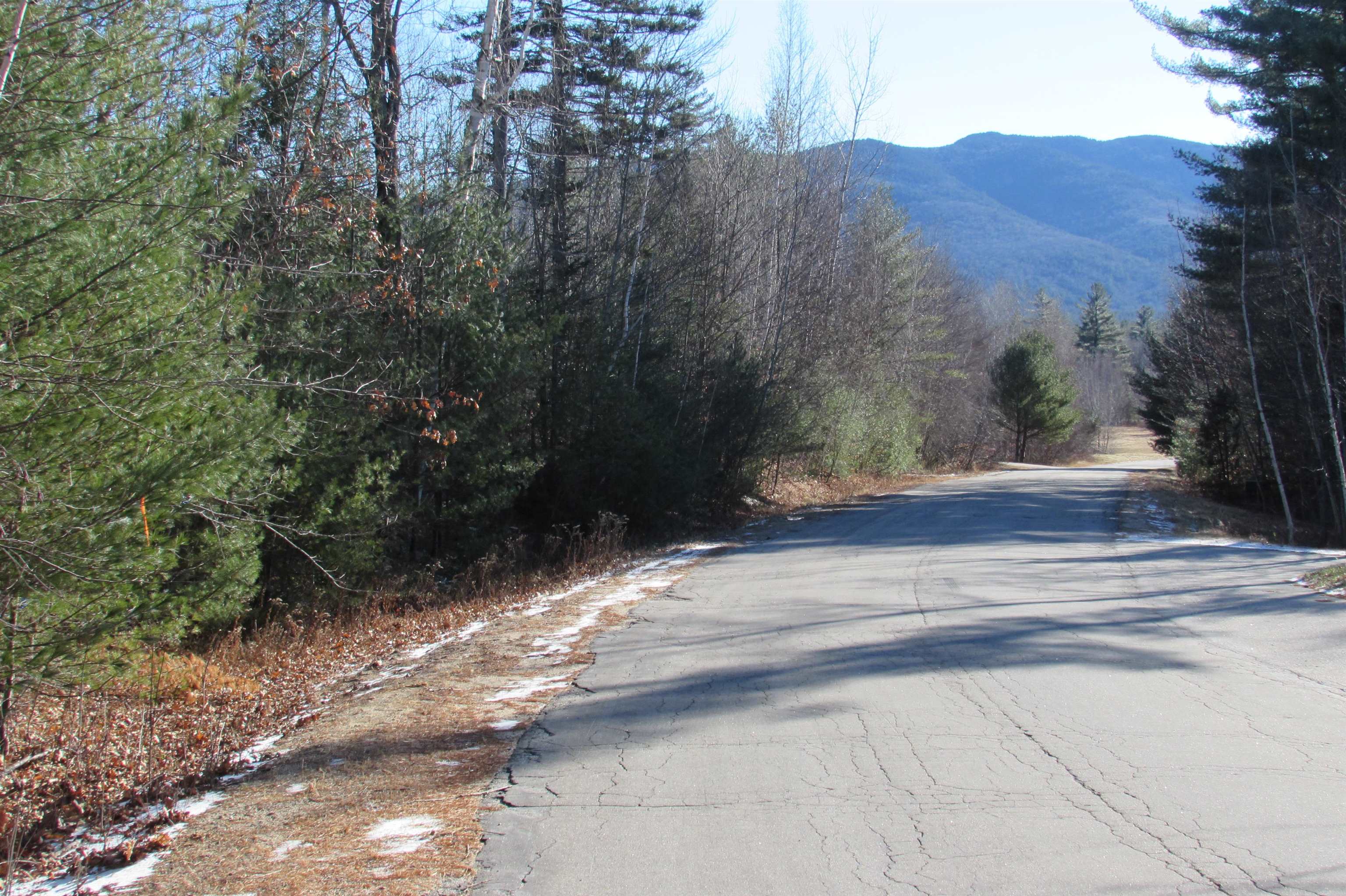 A6 Stanton Farm Road Glen, NH 03838 - Photo 4 of 4