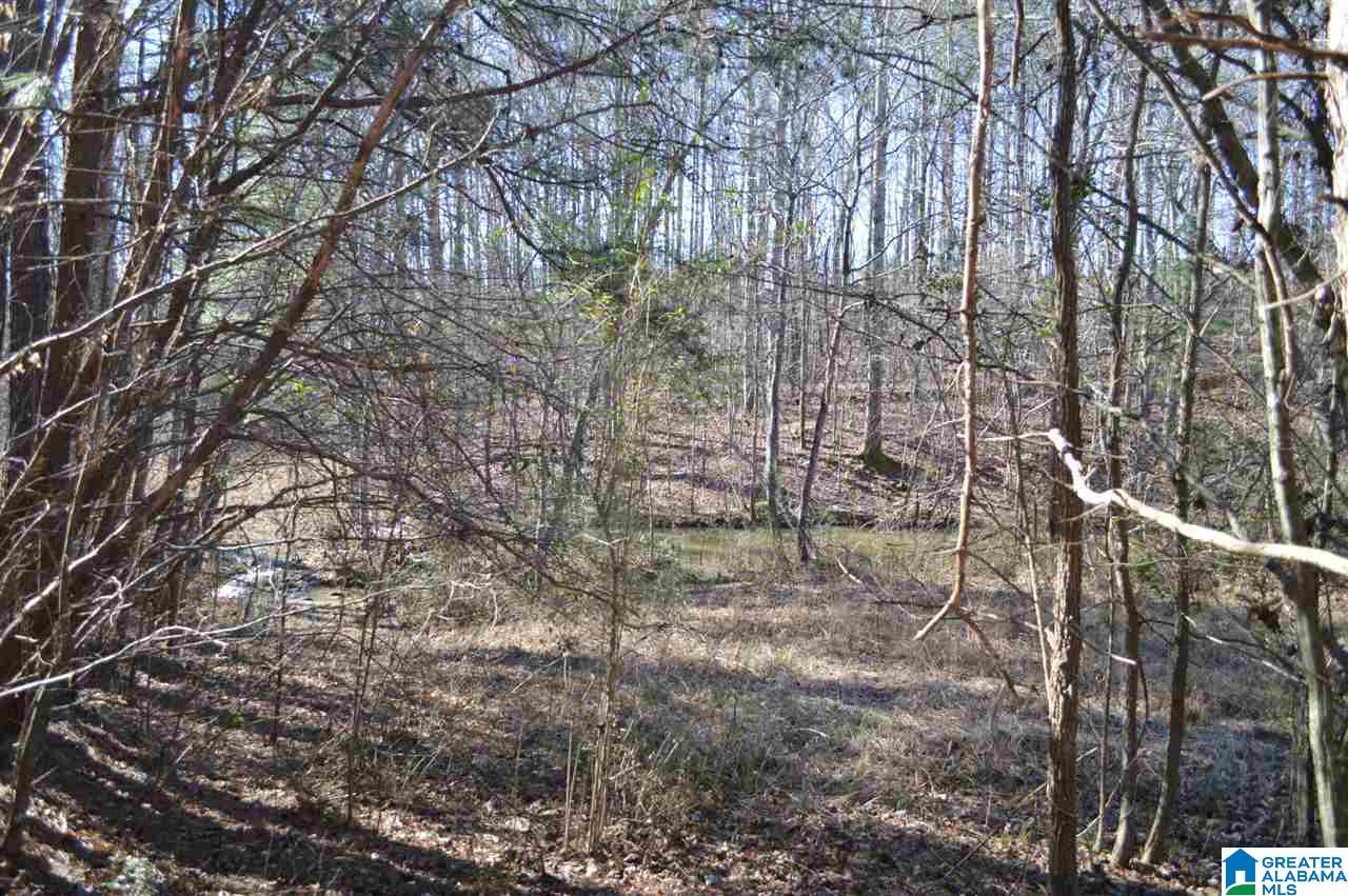 1900 Sanie Road Odenville, AL 35120 - Photo 43 of 48