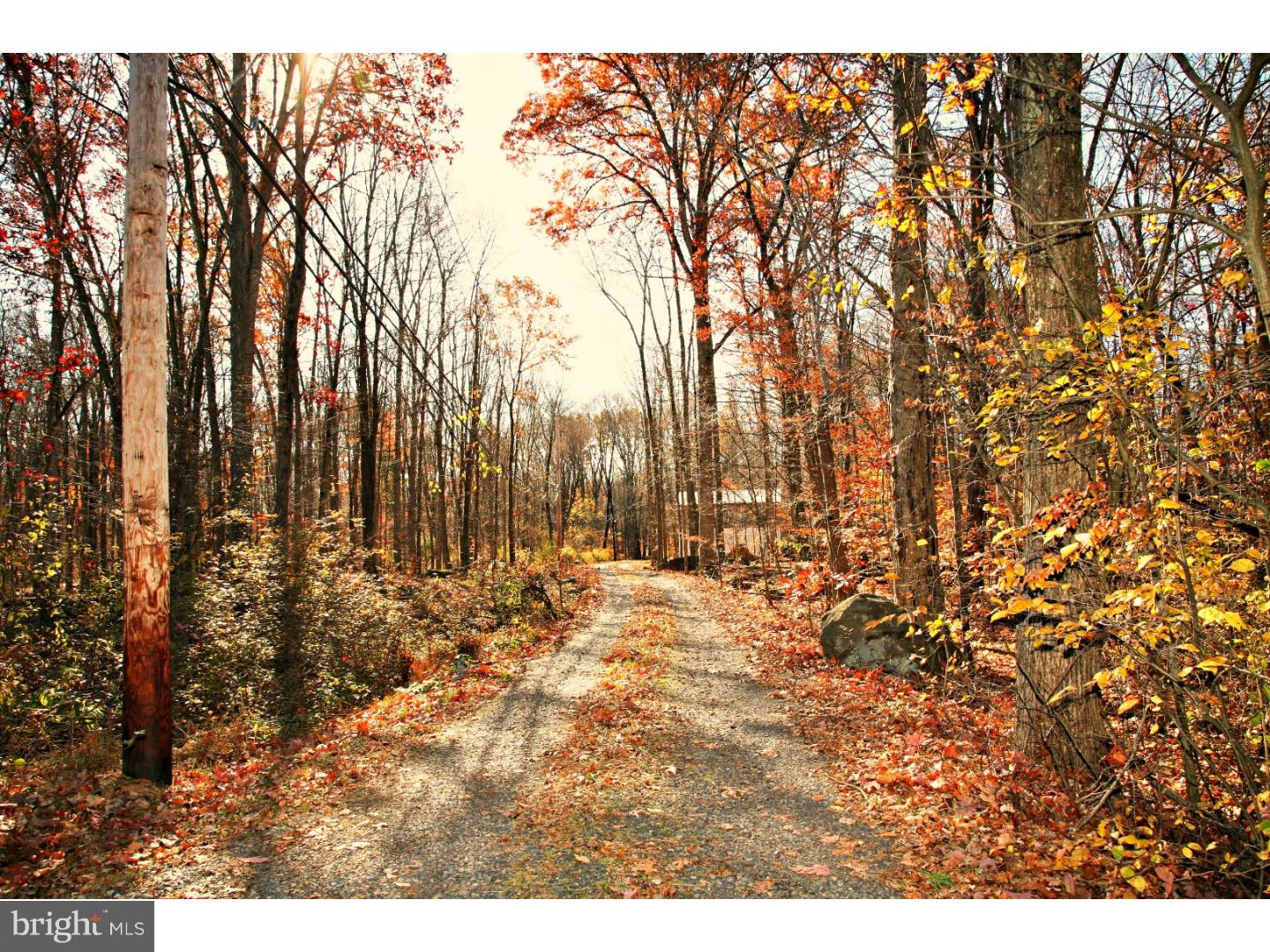 810 Ridge Valley Road Sellersville, PA 18960 - Photo 1 of 25 Driveway
