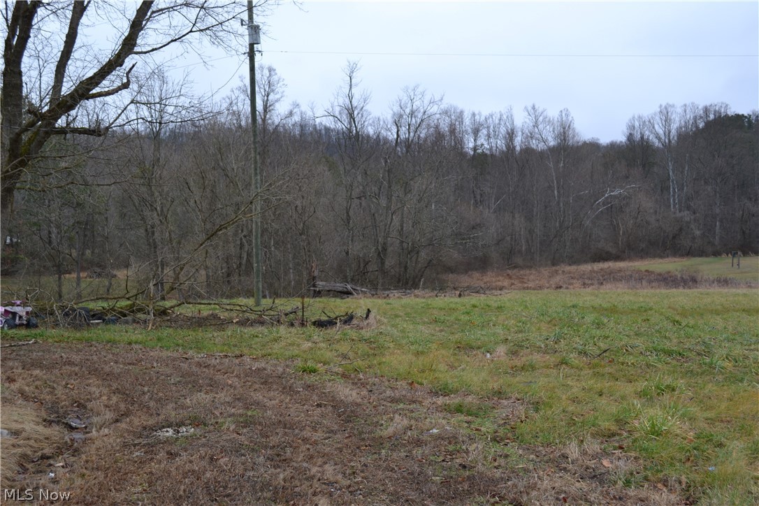 2775 Buckner Bend Walker, WV 26180 - Photo 5 of 7