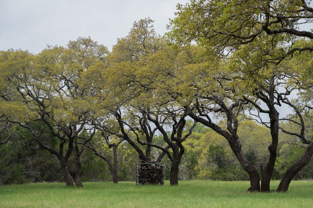 426 Mill Run New Braunfels, TX 78132 - Photo 32 of 40