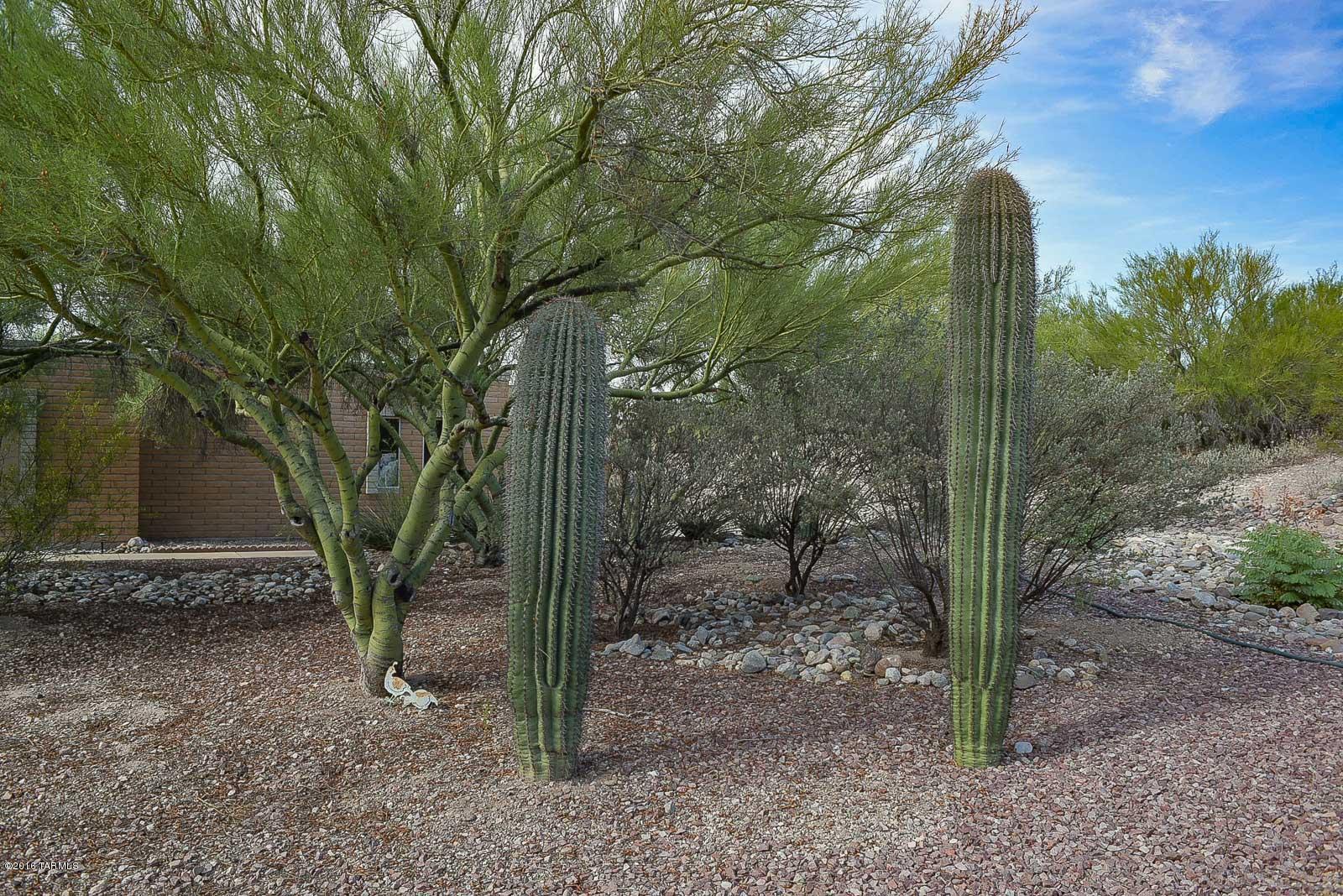 10840 East Limberlost Road Tucson, AZ 85749 - Photo 43 of 50 Gallery Image 43