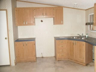 935 Roddy Road Spring City, TN 37381 - Photo 3 of 6 Kitchen