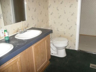 935 Roddy Road Spring City, TN 37381 - Photo 6 of 6 Bathroom